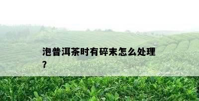 泡普洱茶时有碎末怎么处理？