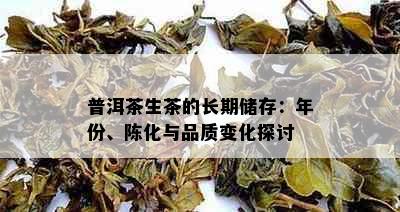 普洱茶生茶的长期储存：年份、陈化与品质变化探讨