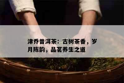 津乔普洱茶：古树茶香，岁月陈韵，品茗养生之道