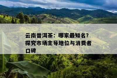 云南普洱茶：哪家最知名？探究市场主导地位与消费者口碑