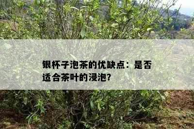 银杯子泡茶的优缺点：是否适合茶叶的浸泡？