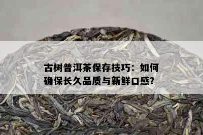 古树普洱茶保存技巧：如何确保长久品质与新鲜口感？