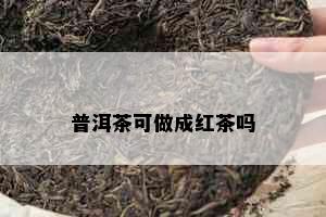 普洱茶可做成红茶吗