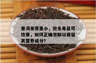 普洱茶芽虽小，但无且可饮用，如何正确泡制以保留其营养成分？