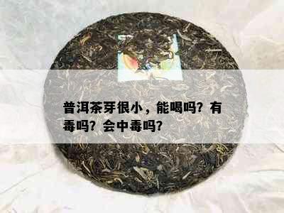 普洱茶芽很小，能喝吗？有吗？会中吗？