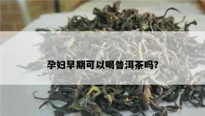 孕妇早期可以喝普洱茶吗？