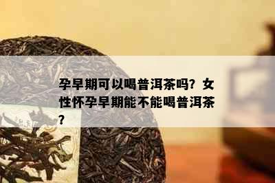 孕早期可以喝普洱茶吗？女性怀孕早期能不能喝普洱茶？