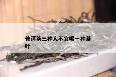 普洱茶三种人不宜喝一种茶叶