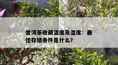 普洱茶收藏温度及湿度：更佳存储条件是什么？