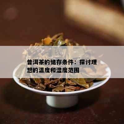 普洱茶的储存条件：探讨理想的温度和湿度范围