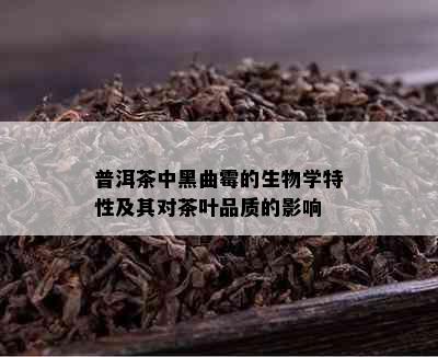 普洱茶中黑曲霉的生物学特性及其对茶叶品质的影响