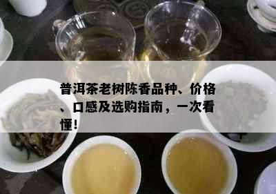 普洱茶老树陈香品种、价格、口感及选购指南，一次看懂！