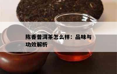 陈香普洱茶怎么样：品味与功效解析