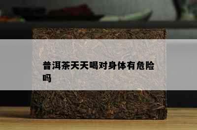 普洱茶天天喝对身体有危险吗