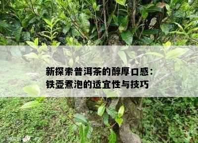 新探索普洱茶的醇厚口感：铁壶煮泡的适宜性与技巧