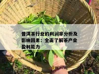 普洱茶行业的利润率分析及影响因素：全面了解茶产业盈利能力