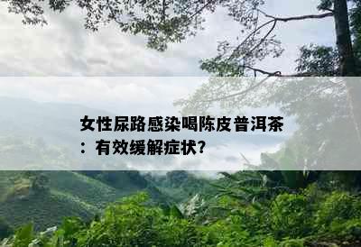 女性尿路感染喝陈皮普洱茶：有效缓解症状？