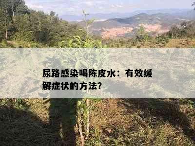 尿路感染喝陈皮水：有效缓解症状的方法？