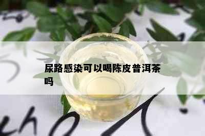 尿路感染可以喝陈皮普洱茶吗