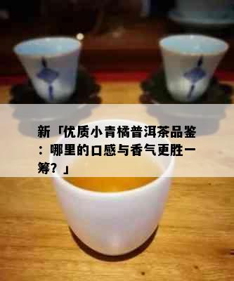 新「优质小青橘普洱茶品鉴：哪里的口感与香气更胜一筹？」