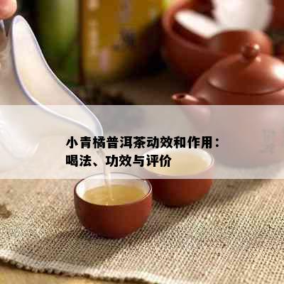 小青橘普洱茶动效和作用：喝法、功效与评价