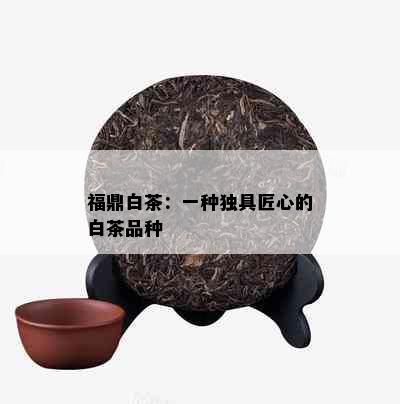 福鼎白茶：一种独具匠心的白茶品种