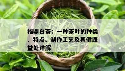 福鼎白茶：一种茶叶的种类、特点、制作工艺及其健康益处详解