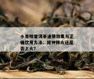 小青柑普洱茶通便效果与正确饮用方法：提神降火还是会上火？