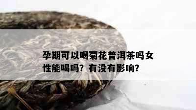 孕期可以喝菊花普洱茶吗女性能喝吗？有没有影响？