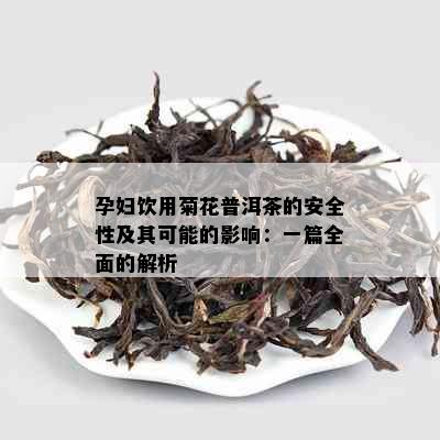 孕妇饮用菊花普洱茶的安全性及其可能的影响：一篇全面的解析