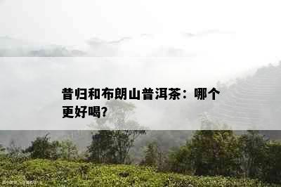 昔归和布朗山普洱茶：哪个更好喝？