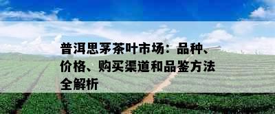 普洱思茅茶叶市场：品种、价格、购买渠道和品鉴方法全解析