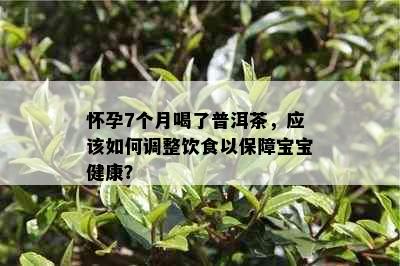 怀孕7个月喝了普洱茶，应该如何调整饮食以保障宝宝健康？