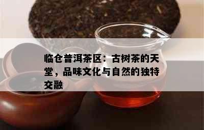 临仓普洱茶区：古树茶的天堂，品味文化与自然的独特交融