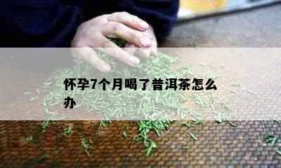 怀孕7个月喝了普洱茶怎么办