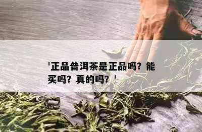 '正品普洱茶是正品吗？能买吗？真的吗？'