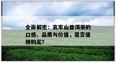 全面解密：哀牢山普洱茶的口感、品质与价值，是否值得购买？