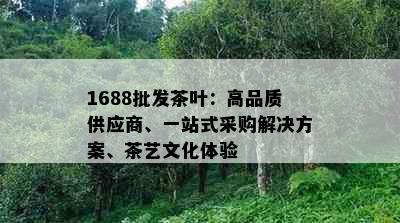 1688批发茶叶：高品质供应商、一站式采购解决方案、茶艺文化体验