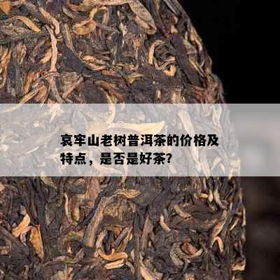 哀牢山老树普洱茶的价格及特点，是否是好茶？