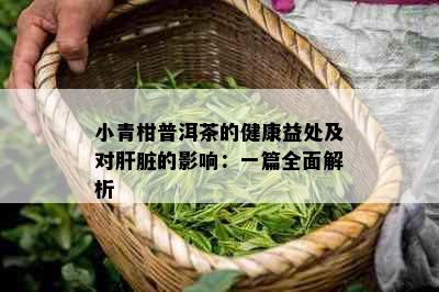 小青柑普洱茶的健康益处及对肝脏的影响：一篇全面解析