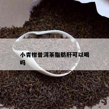 小青柑普洱茶脂肪肝可以喝吗