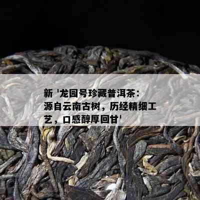 新 '龙园号珍藏普洱茶：源自云南古树，历经精细工艺，口感醇厚回甘'