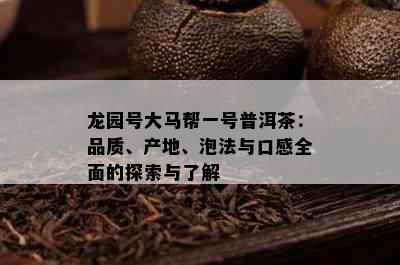 龙园号大马帮一号普洱茶：品质、产地、泡法与口感全面的探索与了解