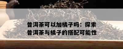 普洱茶可以加橘子吗：探索普洱茶与橘子的搭配可能性