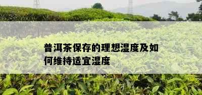 普洱茶保存的理想湿度及如何维持适宜湿度