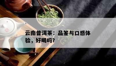 云南普洱茶：品鉴与口感体验，好喝吗？