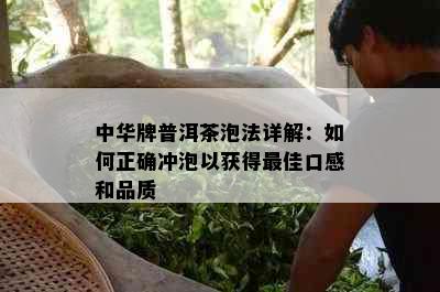 中华牌普洱茶泡法详解：如何正确冲泡以获得更佳口感和品质