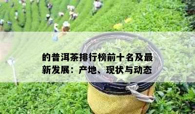 的普洱茶排行榜前十名及最新发展：产地、现状与动态