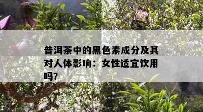 普洱茶中的黑色素成分及其对人体影响：女性适宜饮用吗？