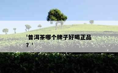 '普洱茶哪个牌子好喝正品？'